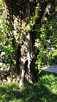 20170514_161712