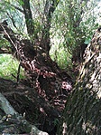 IMG_20170527_133025