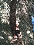 IMG_20170527_133022