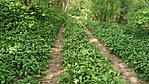 20170414_113715
