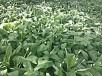 20170414_113718