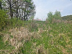 20170414_121511