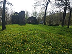 20170415_105008