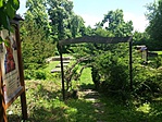 20170514_131251