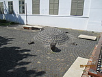 IMG_3445