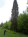 SAM_7285