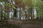 IMG_7070