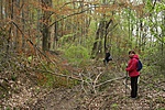 IMG_7087