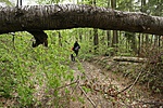 IMG_7093