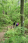 IMG_7136