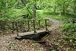 IMG_7137