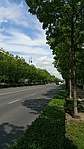 GCStLi_20170511133541.jpg