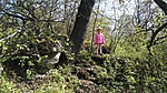 IMG_20170501_102749
