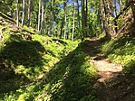 IMG_9115
