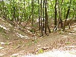 P1040067