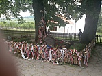 DSC01799