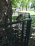 IMG_1958