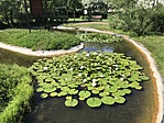 IMG_1969