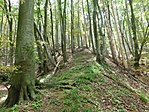 Cimg8429