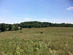 IMG_5898