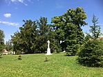 IMG_5887
