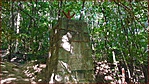 20170611_080150