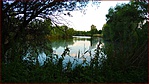 DSCN7786