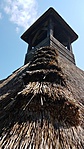 20170429_113010