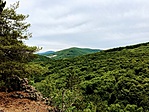 IMG_5360
