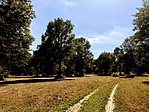 IMG_5256