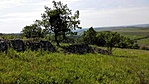 3771 Kis-Eged EGER (GCKIEG) (1)