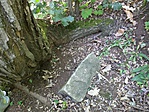 IMG_20170620_112011