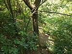 IMG_20170620_112326