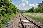 _DSC8851