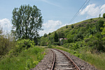 _DSC8850