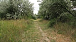 IMG_7371