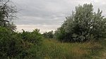 IMG_7370