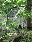 IMG_2623