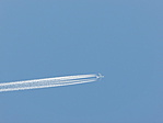 P6110169
