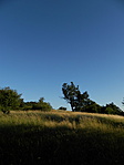 P6110186