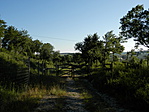 P6110193