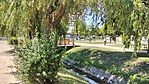 IMG_20170611_101912