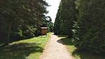 IMG_20170614_135405