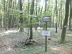 IMG_20170621_083559
