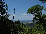 DSC02436