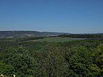 DSC02951