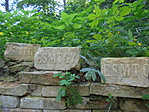DSC03026