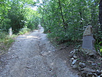 DSC03221