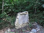 DSC03220