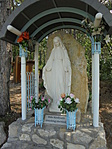 DSC03231
